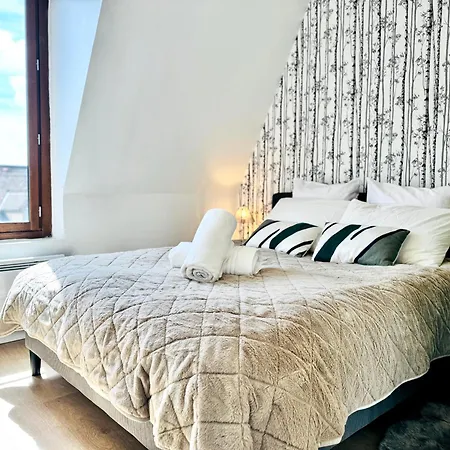 Le Saint-nizier - Centre - Wifi & Machine A Laver Apartman Troyes